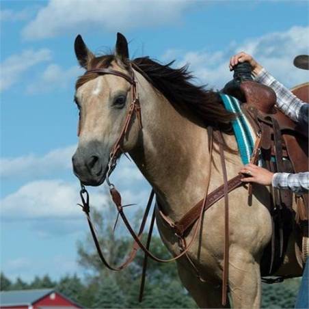 Bridon Basin Cowboy