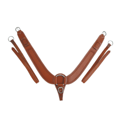 Collier de chasse Buckaroo