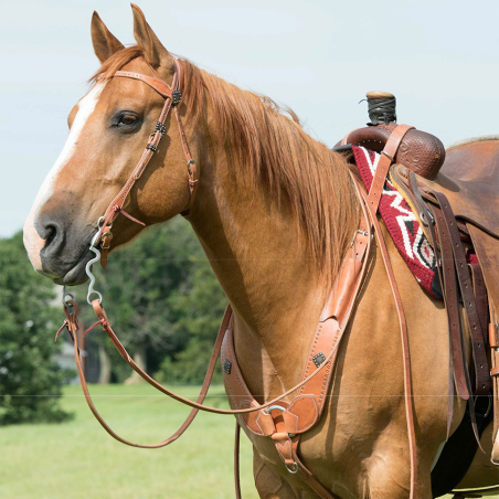 Bridon western cuir Rambler