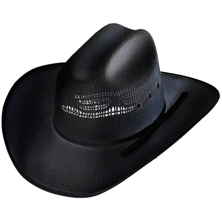 Chapeau paille Ashton Black