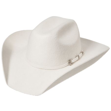 Chapeau feutre Wyoming Silverbelly